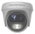 Grandstream GSC3610 Infrared Waterproof Dome camera 1080P