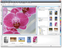 Built-in Content Organizer Built-in Content Organizer