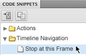 Code Snippets panel