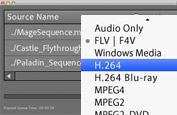 Encoding and delivery for virtually any screen