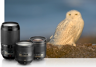 photo of three NIKKOR lenses clustered in front of an image of an owl on a rock in nature