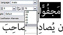 Middle Eastern language support