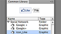 Common Library elements in Fireworks