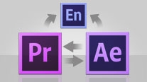 Timesaving integration and Dynamic Link