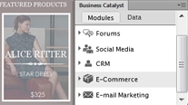 Business Catalyst panel in Dreamweaver