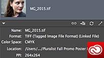 Links panel enhancements