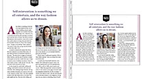 Split window in InDesign