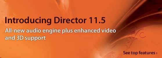 Introducing Director 11.5