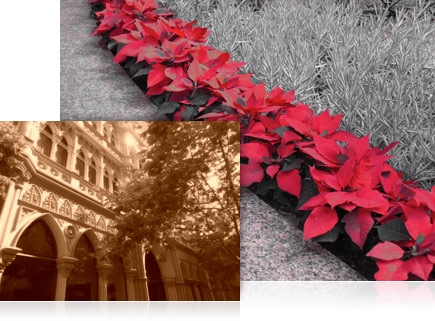 Two photos demonstrating the COOLPIX S9200's in-camera special effects (Nostalgic Sepia and Selective Color).