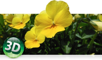 Graphic representing the COOLPIX S6300's 3D Photos feature.