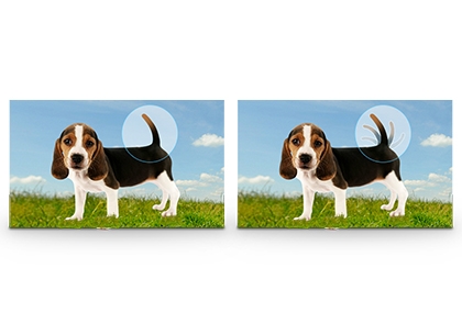 Add action to your still photos