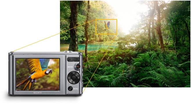 Shoot And Show Off Detailed Photographs