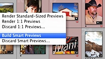 Smart Previews