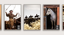 Video slideshows