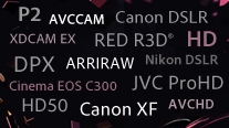 Broad format support in Adobe Premiere Pro